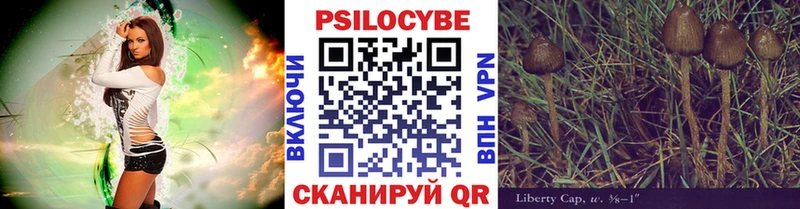 блэк спрут tor  Кондрово  Галлюциногенные грибы прущие грибы 
